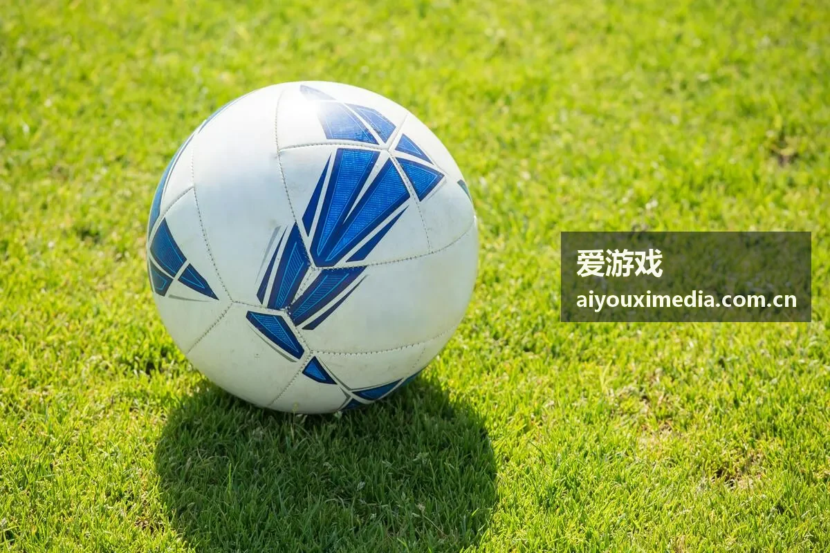 爱游戏高尔夫巡回赛事封面